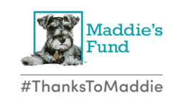 Maddie's fund logo with #ThankstoMaddie.