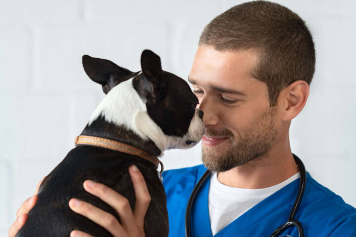 Veterinary technician smiling at dog.