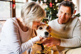Senior couple with dog in the middle at Christmas.