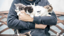 Foster volunteer holding her foster kittens in her arms.