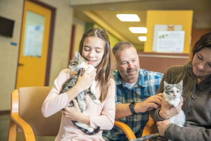 family holding kittens in adoption center