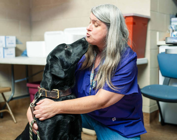 Woman holding black lab dog and giving it a kiss.