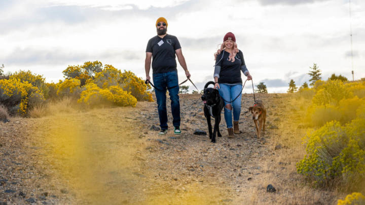 Two volunteers walking two dogs through a desert landscape.