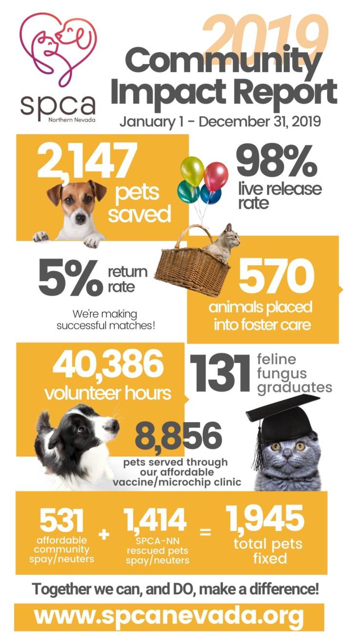 Infographic of the spca community report.