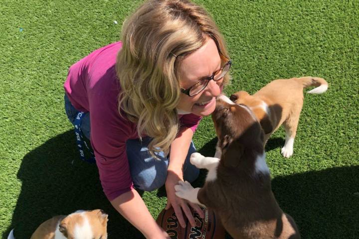 Executive Director Jill holding a basketball and touching noses with a puppy.