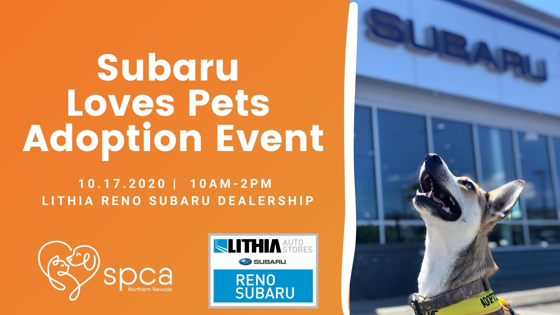 Subaru Loves Pets Adoption Event SPCA of Northern Nevada