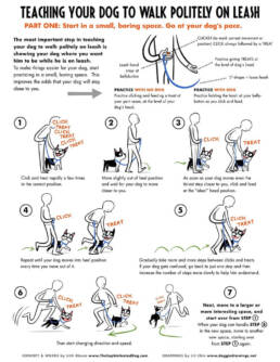 Graphic explaining how to teach dog to walk on a leash.