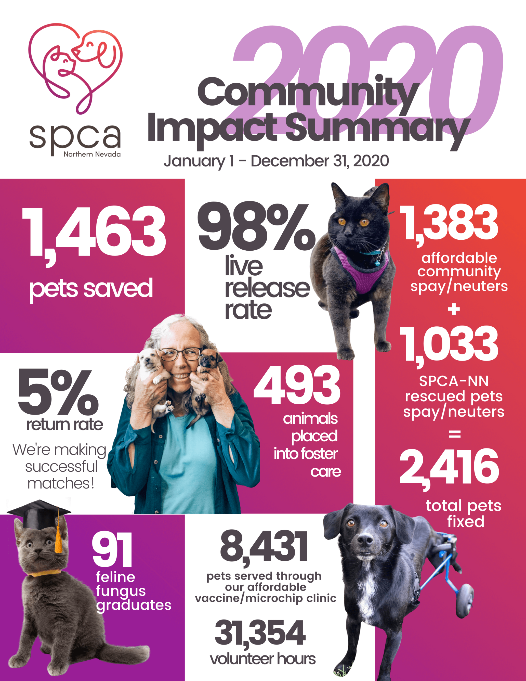 A Message from Executive Director Jill Vacchina Dobbs | SPCA of Northern  Nevada
