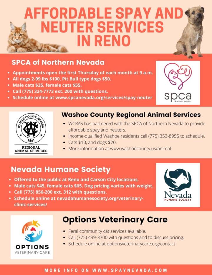 graphic detailing spay and neuter services in Reno, NV