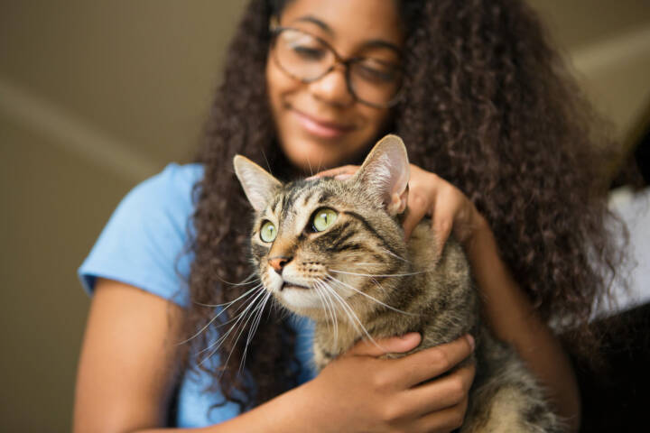 Young woman with glasses gently holding a cat.