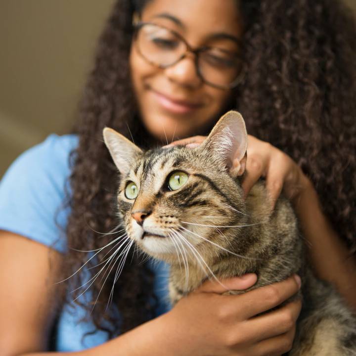 Young woman with glasses gently holding a cat.
