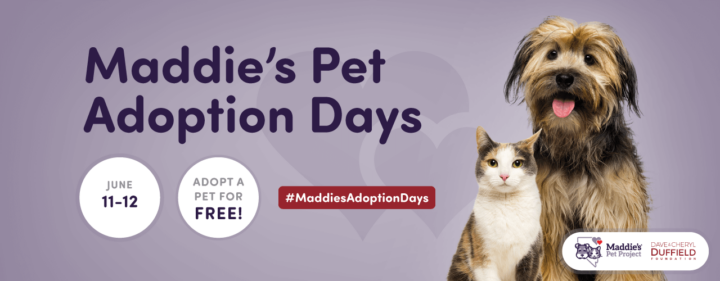 Maddie's Pet Adoption Days graphic with June 11-12 dates, dog and cat.