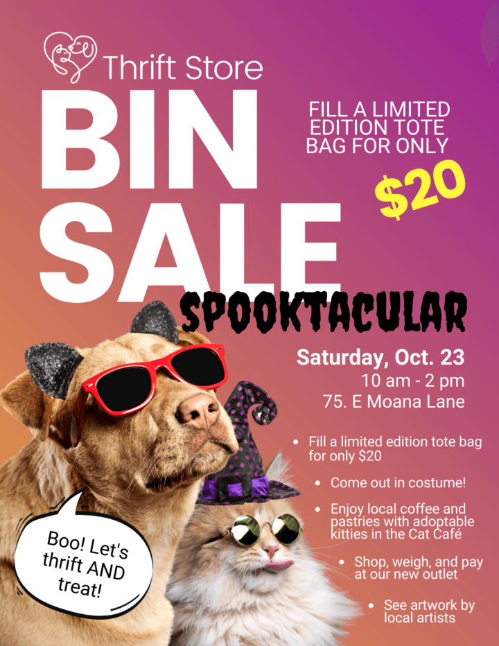 Flyer advertising the Bin Sale Spooktacular on Oct 23!