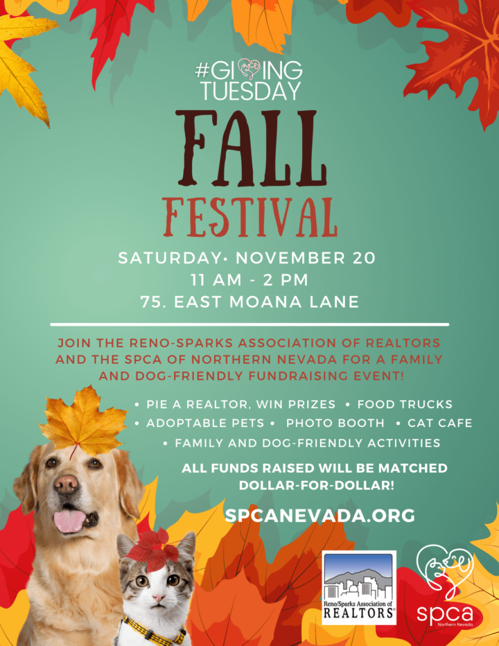 Flyer with details on fall festival and logos for RSAR and SPCA-NN.