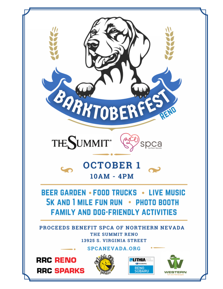 Flyer with details on Barktoberfest Reno, happening October 1st from 10 am to 4 pm