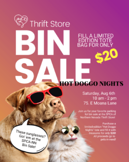 Bin Sale flyer for August 6th, Hot Doggo Nights event.