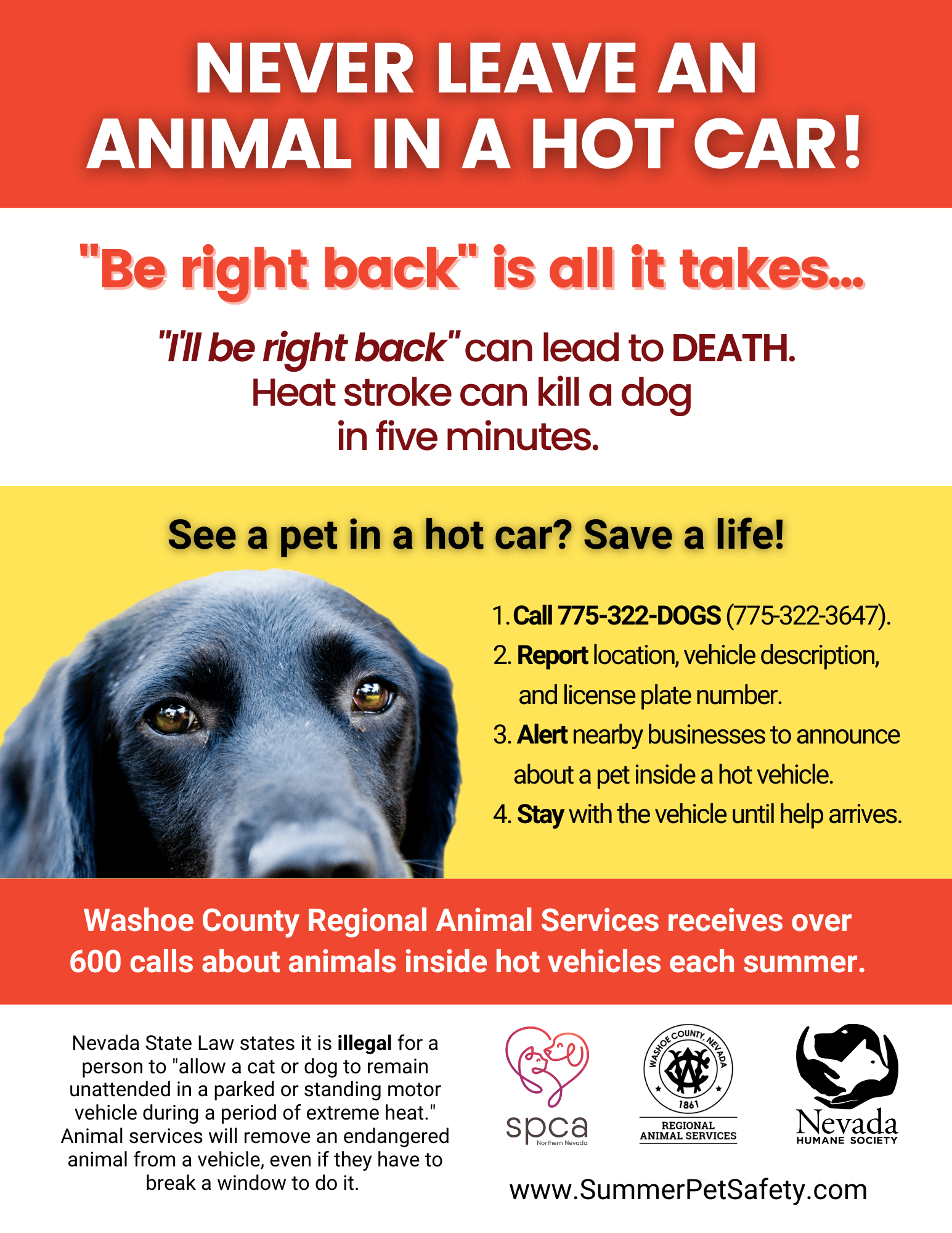 Weather Hazards: Dogs in Hot Cars | SPCA of Northern Nevada