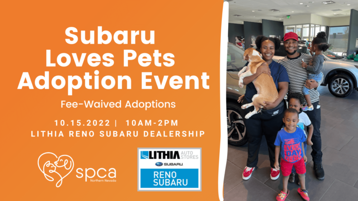 Flyer for Subaru Loves Pets Adoption Event on October 15.